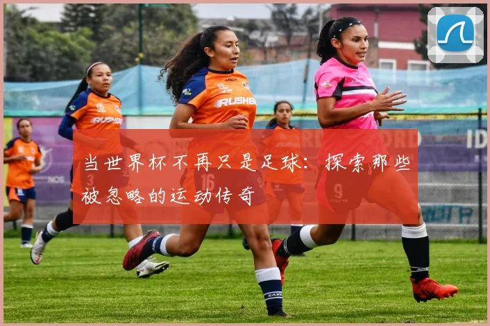 当世界杯不再只是足球:探索那些被忽略的运动传奇