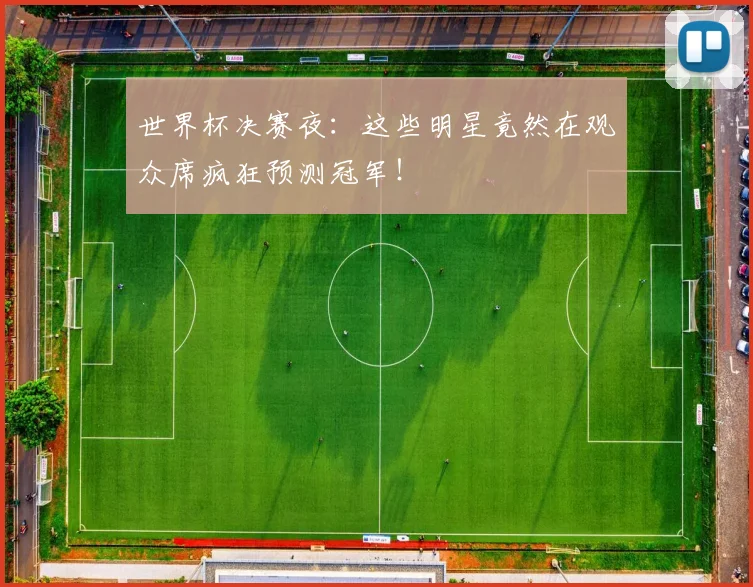 世界杯决赛夜：这些明星竟然在观众席疯狂预测冠军！