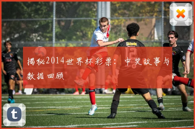 揭秘2014世界杯彩票：中奖故事与数据回顾