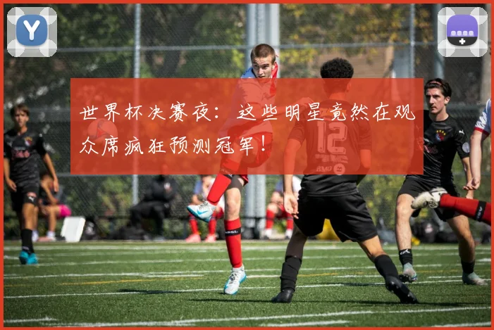 世界杯决赛夜：这些明星竟然在观众席疯狂预测冠军！