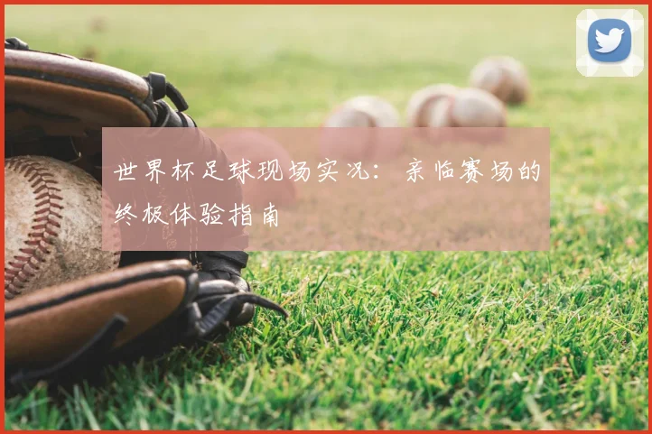 世界杯足球现场实况:亲临赛场的终极体验指南