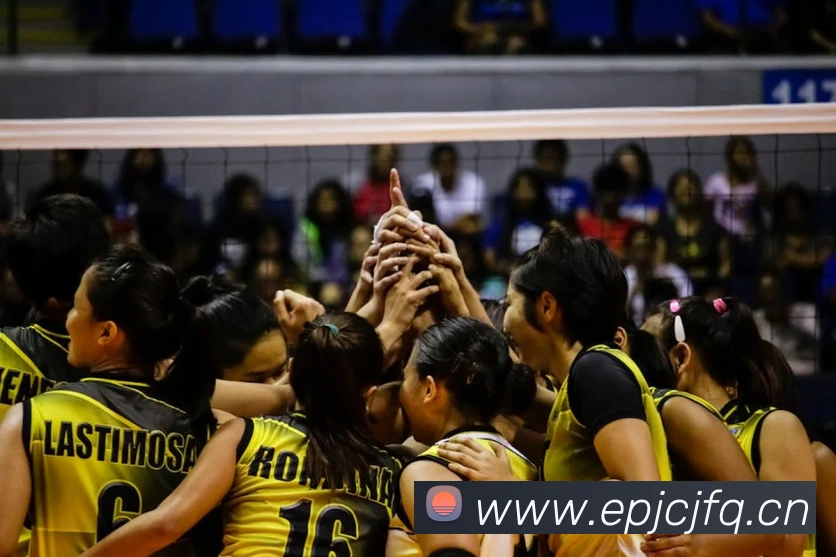 App Interface Preview